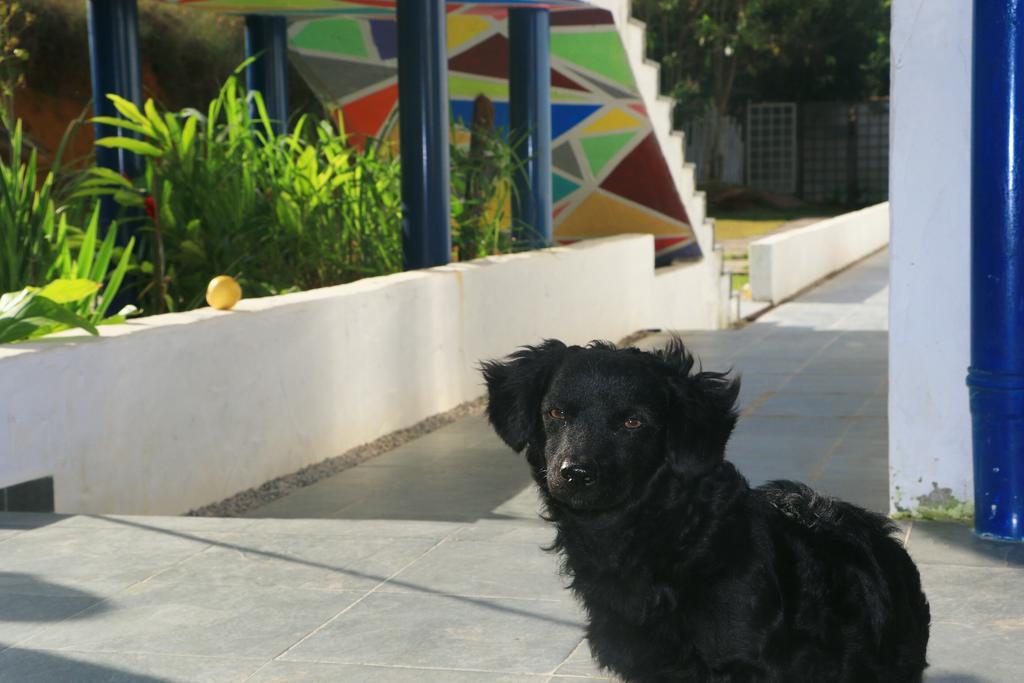 Cristama Residence Inn Ubatuba Luaran gambar